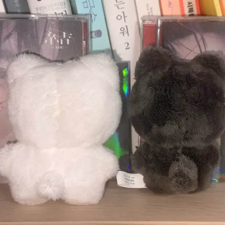 [BUNJANG] ENHYPEN Jungwon Jay "Yangkomi" &amp; "Miguknyang" Plush Dolls Set / 엔하이픈 정원 제이 인형 양꼬미 미국냥 양도