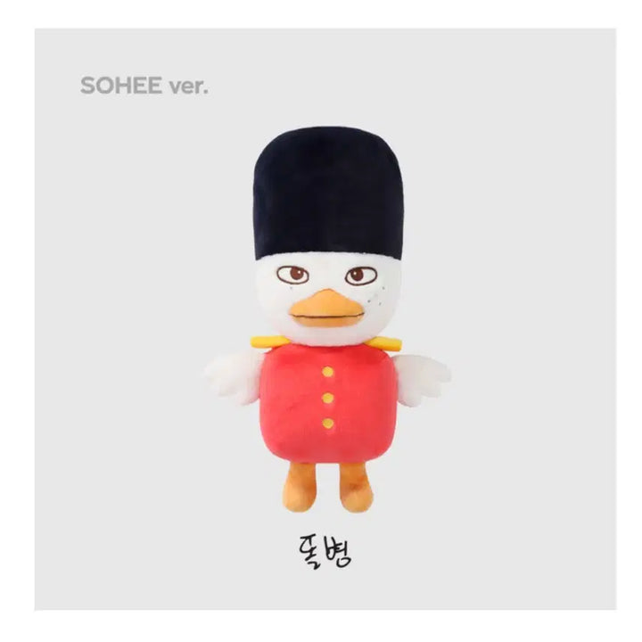 [BUNJANG] Riize 40cm Doll / 리틀 라이즈 40cm인형