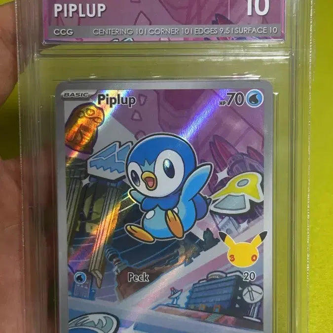 [BUNJANG] 30th Anniversary First Partner Pokémon CCG 10 Grade / 30주년 퍼스트파트너 북미 팽도리 CCG 10등급