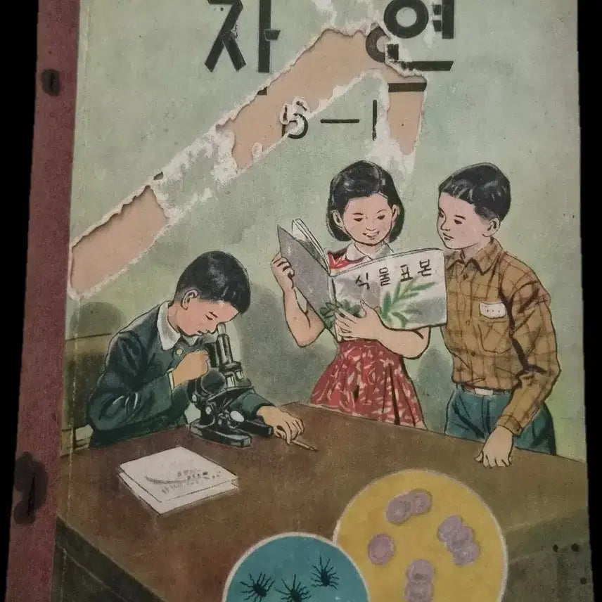[BUNJANG] UNKRA 5060 Textbook Natural Science 6-1 (1960 Print) / 운크라 5060 옛날 교과서 교과서 자연 6-1 1960년 인쇄