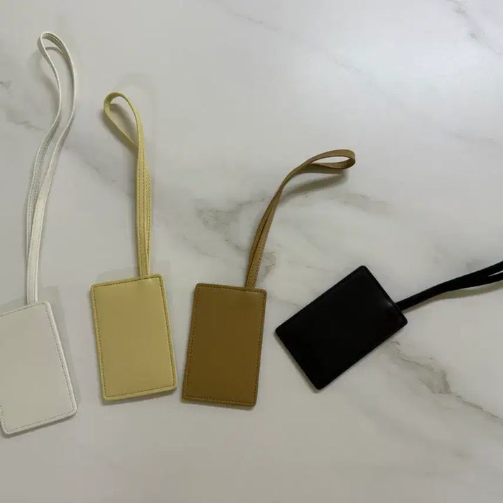 [BUNJANG] Anetik Card Holder Keychain / 아노에틱 카드지갑 키링