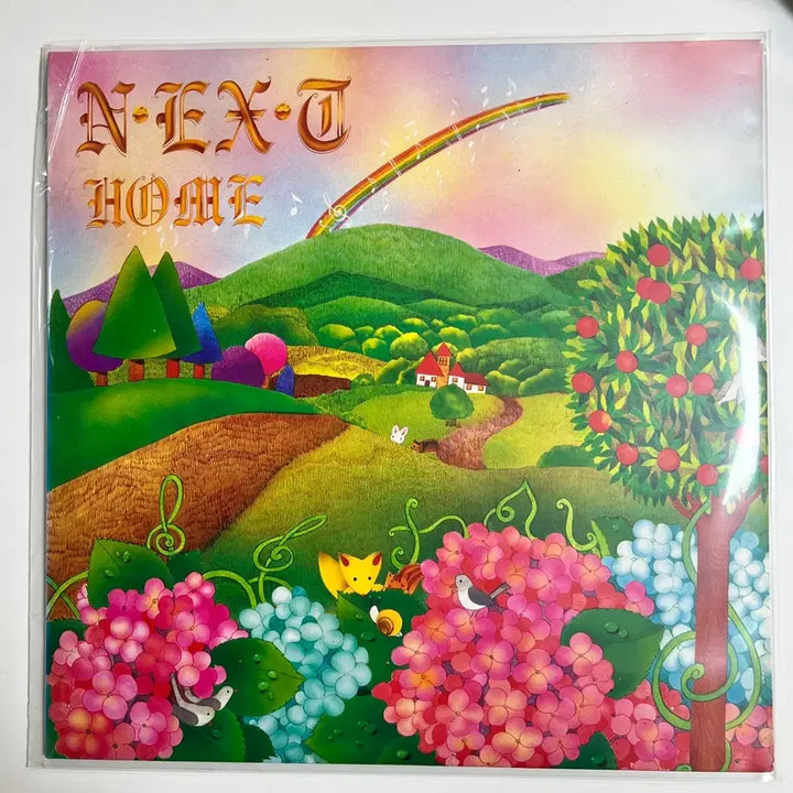 [BUNJANG] Next HOME Album LP / 넥스트 HOME 앨범 LP 팝니다.