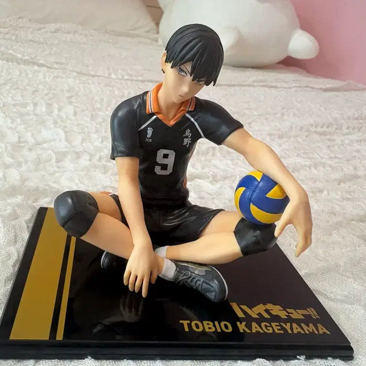 [BUNJANG] Haikyu!! Tobio Kageyama Tenohira Gem / 하이큐 카게야마토비오 테노히라 gem