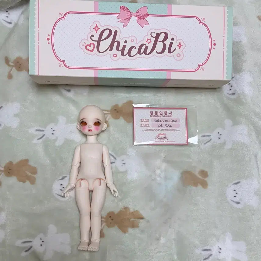 [SOLD OUT] 치카비 캐시 usd 본체 택포