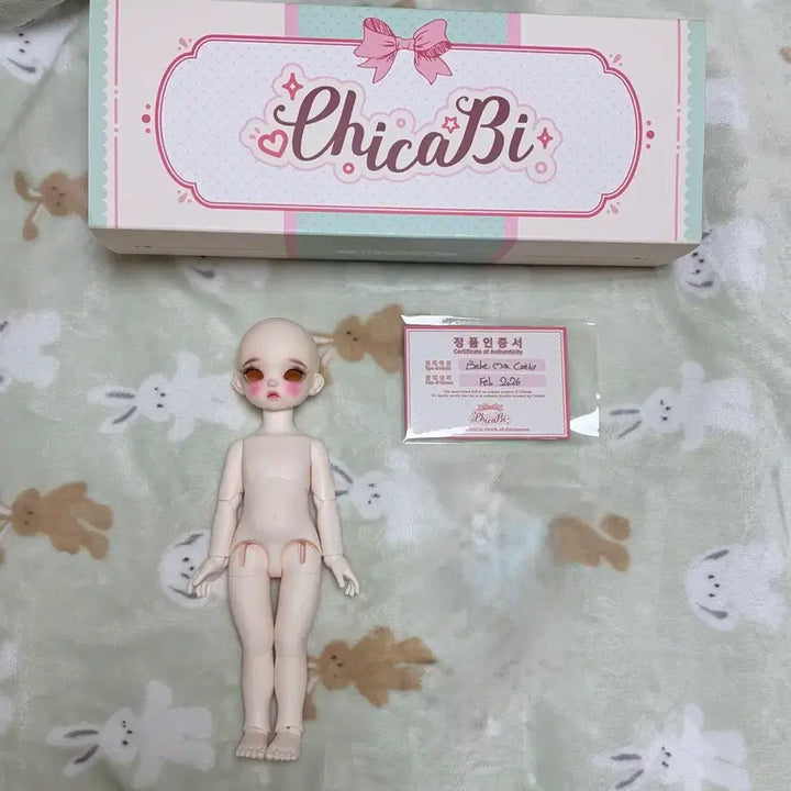 [SOLD OUT] 치카비 캐시 usd 본체 택포