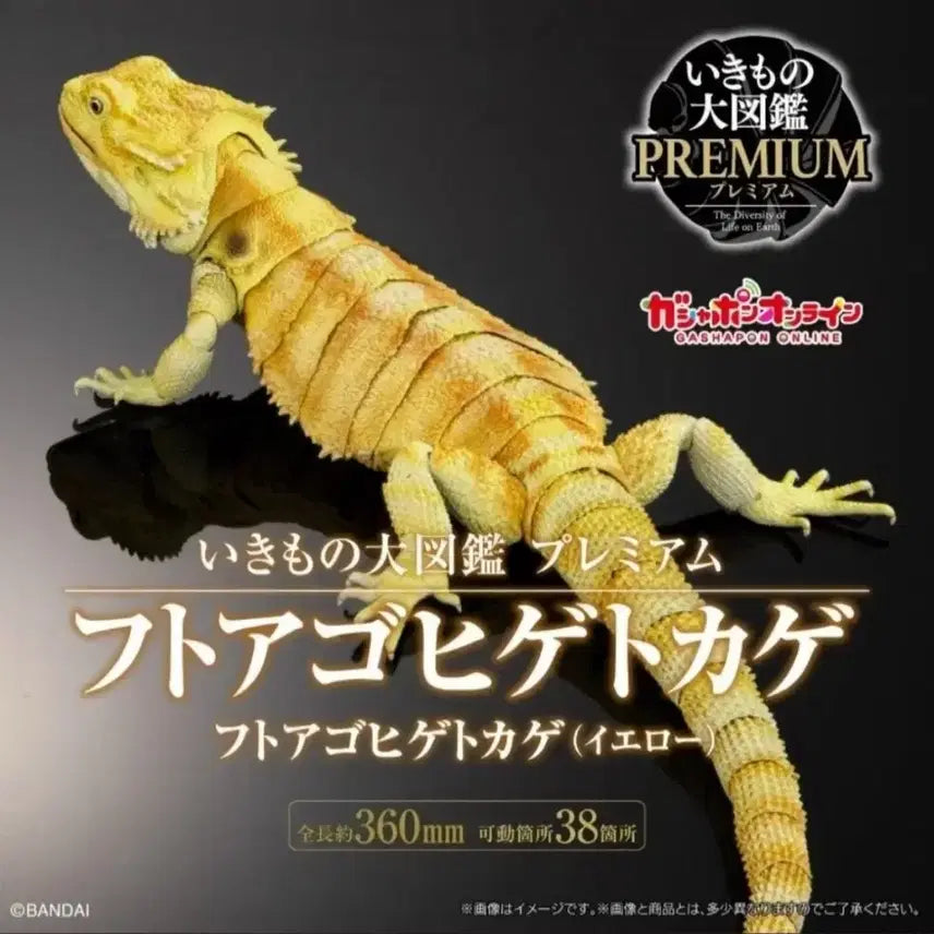 [BUNJANG] Bio Encyclopedia Premium Bearded Dragon Lizard (Yellow) / 생물대도감 프리미엄 비어디드래곤 도마뱀 (옐로우)