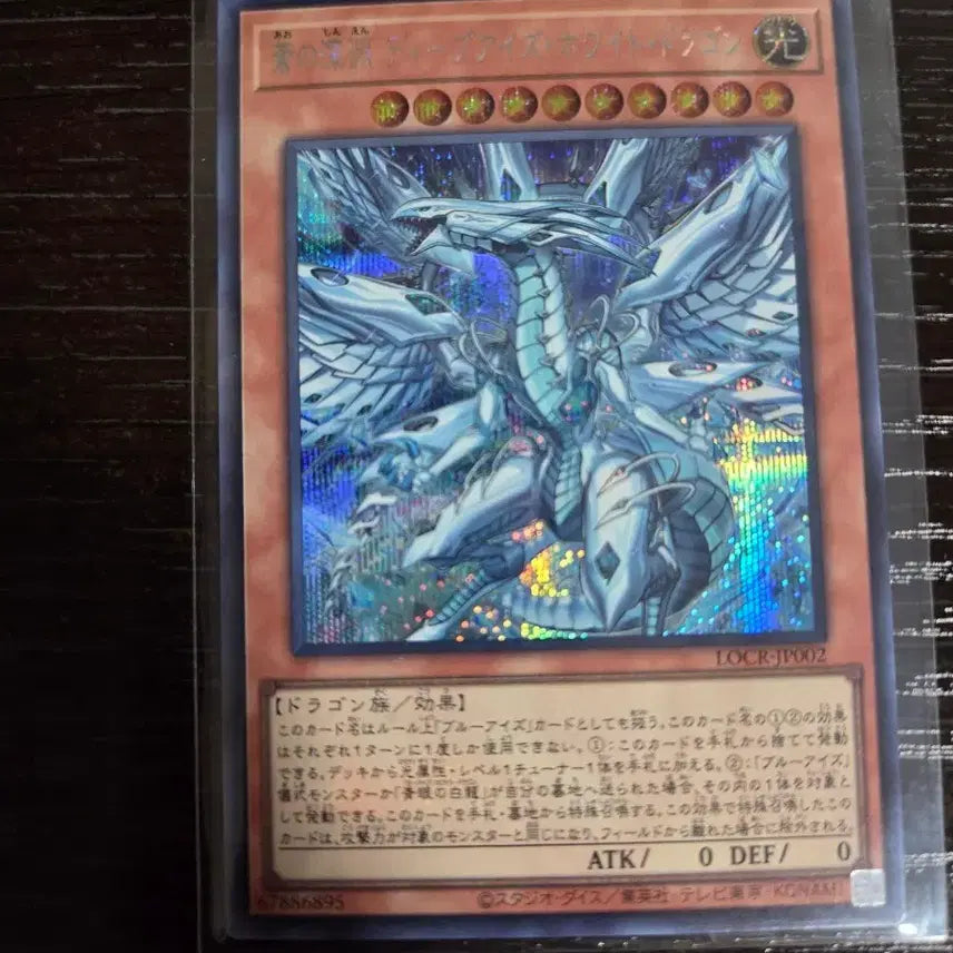 [BUNJANG] Dark Magician Girl the Dragon Knight White Dragon Edition Card / 일판 창의심연딥아이즈화이트드래곤 시크