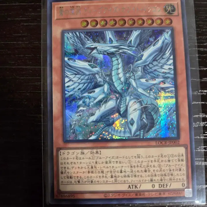[BUNJANG] Dark Magician Girl the Dragon Knight White Dragon Edition Card / 일판 창의심연딥아이즈화이트드래곤 시크