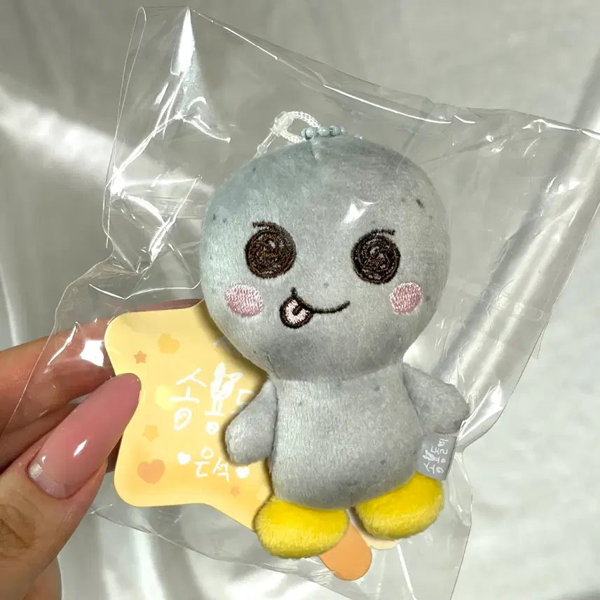 [SOLD OUT] *미개봉* RIIZE 라이즈 은석 송용돌이 8cm 인형