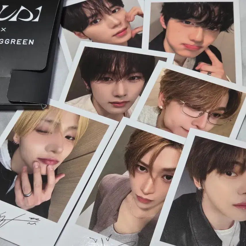 [BUNJANG] Bring Green Alphadrive One Photocard Bundle Set / 브링그린 알디원 알파드라이브원 포토카드 일괄