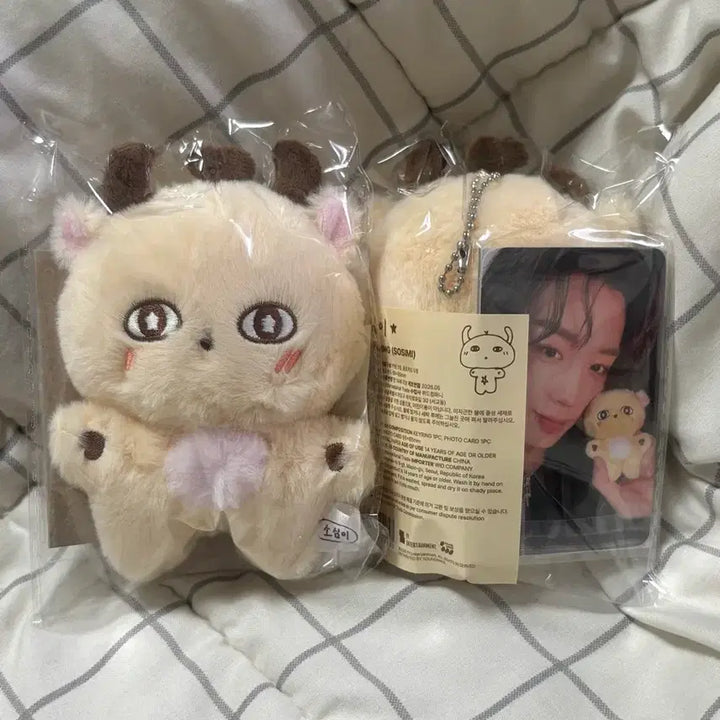 [BUNJANG] Park Ji Hoon "Sosimi" Doll (Photocard Included, Sealed) / 소심이 양도합니다! (현물/포카포함/미개봉)