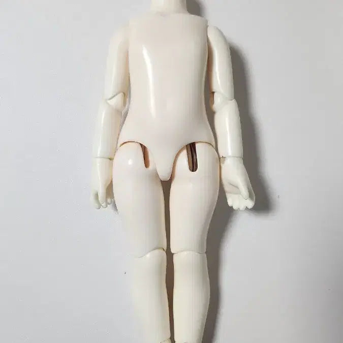 [BUNJANG] USD Body with Custom Wiring / USD 미백 바디 판매 몽글