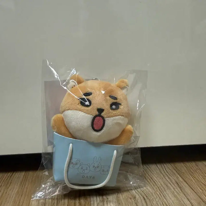 [BUNJANG] Day6 Keyring / 데이식스 백참 케