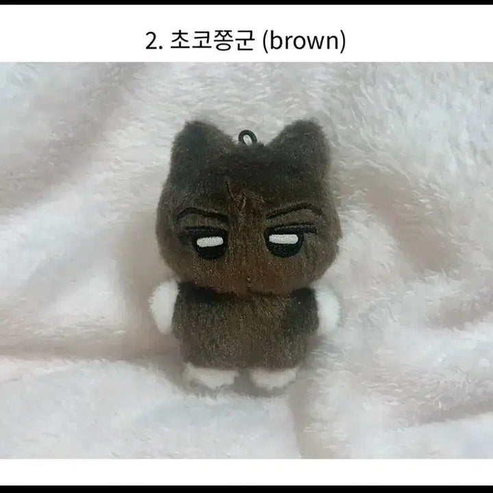 [BUNJANG] ENHYPEN Sunghoon JAY Chocolate Photocard Bundle Set / 냥쫑부부 초코 현물 양도 엔하이픈 박종성 제이