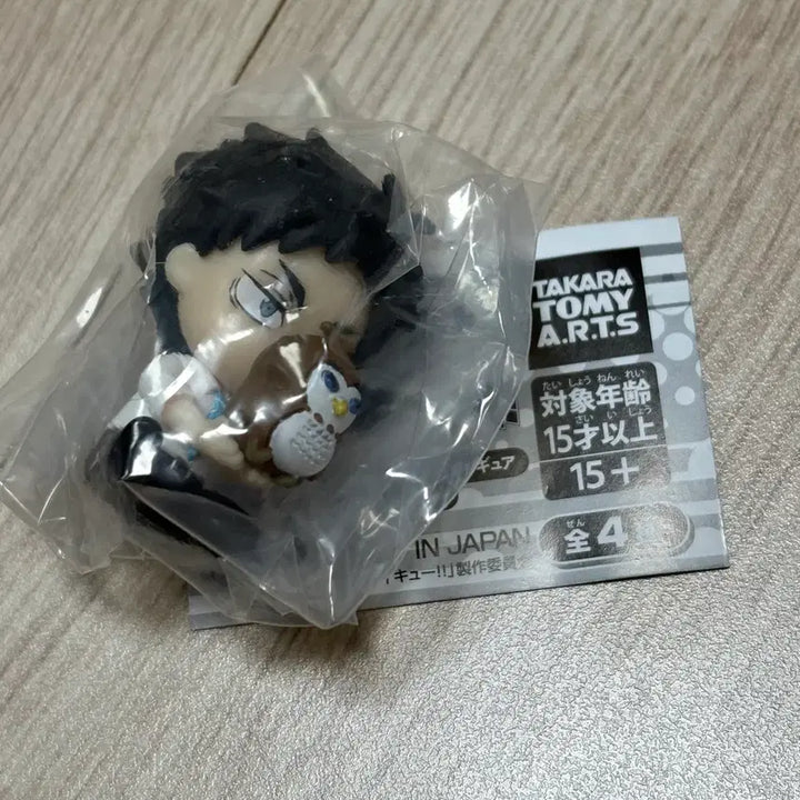 [BUNJANG] Haikyuu!! Hide and Seek 2 Akaashi Keiji / 하이큐 숨바꼭질2 아카아시