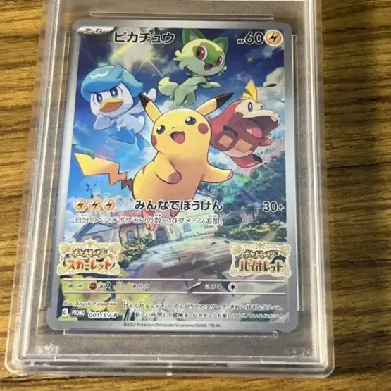 [BUNJANG] Pokemon Scarlet &amp; Violet Card PSA 10 Graded / 2022 포켓몬 스칼렛&amp;바이올렛