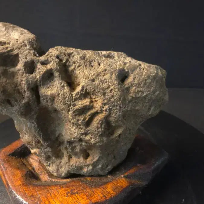 [BUNJANG] Lion-Shaped Natural Stone Suiseki with Wooden Stand / 사자형상 자연석 수석