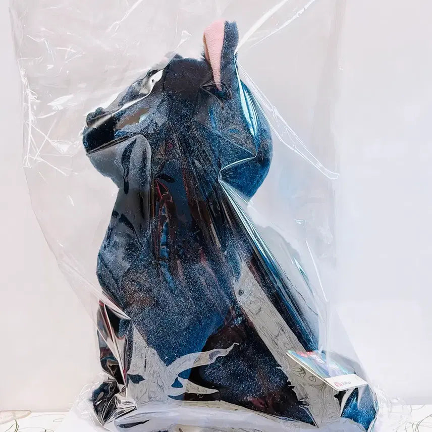 [SOLD OUT] 메리와 마녀의 꽃의 티브 인형 팝니다
