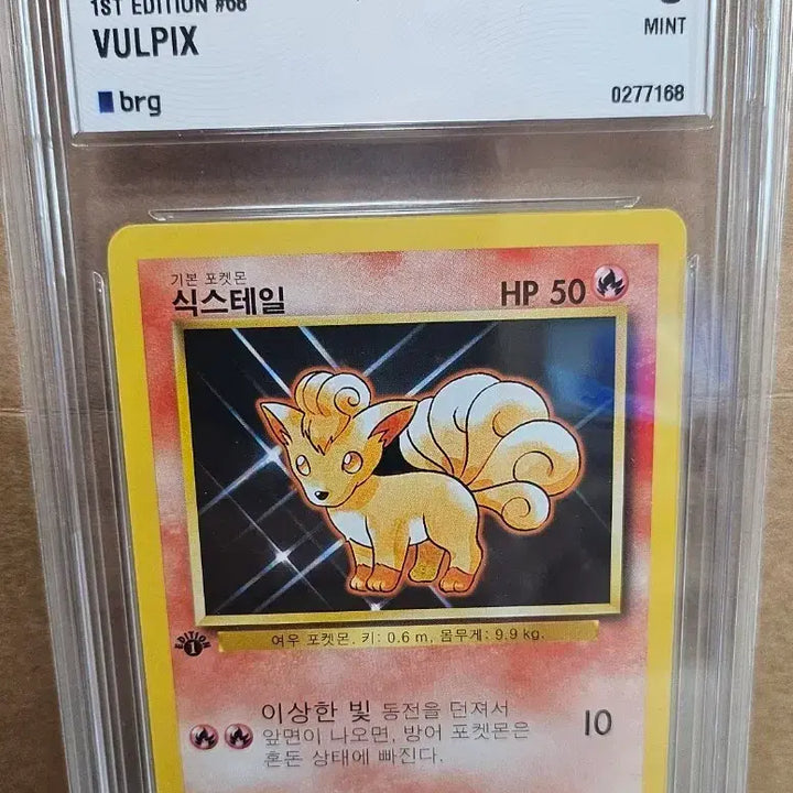 [BUNJANG] Pokemon Card First Edition 9 Graded Vulpix / 포켓몬카드 초판 brg 9등급 식스테일