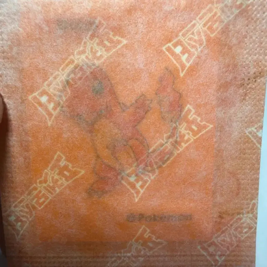 [BUNJANG] Charmander Sticker 30th Anniversary Pokemon / 파이리 띠부실 뉴포켓몬 30주년