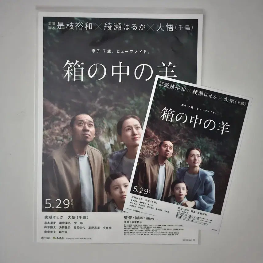 [BUNJANG] Into the Mirror (Korean Title) A3 Poster &amp; Japanese Flyer Set / (1+1) 상자 속의 양 포스터 + 일본 전단지