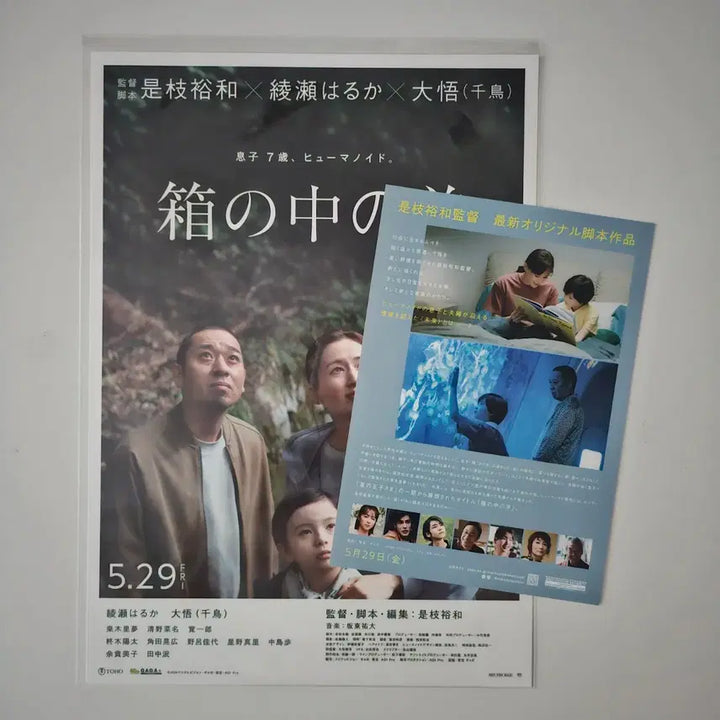 [BUNJANG] Into the Mirror (Korean Title) A3 Poster &amp; Japanese Flyer Set / (1+1) 상자 속의 양 포스터 + 일본 전단지