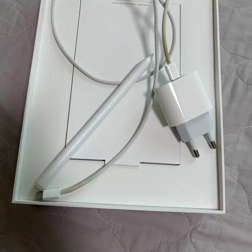 [BUNJANG] Apple iPad 10th Gen 64GB WiFi with Stylus and Charger / 아이패드 10세대 64 짭플펜슬+충전기 wifi