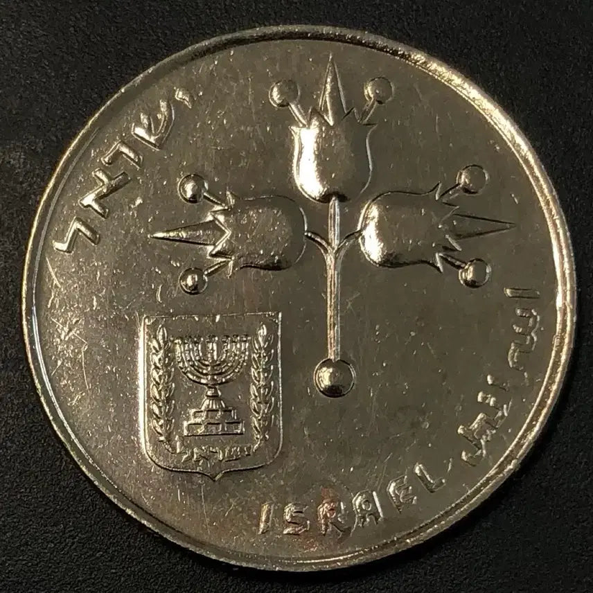 [BUNJANG] Rare 1 Lira Coin (Israel, 1857) / [희귀] 이스라엘 1리라 동전 w1857