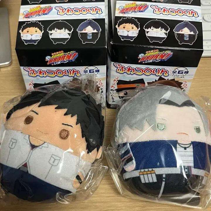 [BUNJANG] Katekyo Hitman Reborn! Yamamoto Gokudera Fuwa Plush / [미개봉] 가히리 가정교사 히트맨 리본 야마모토 고쿠데라 후와