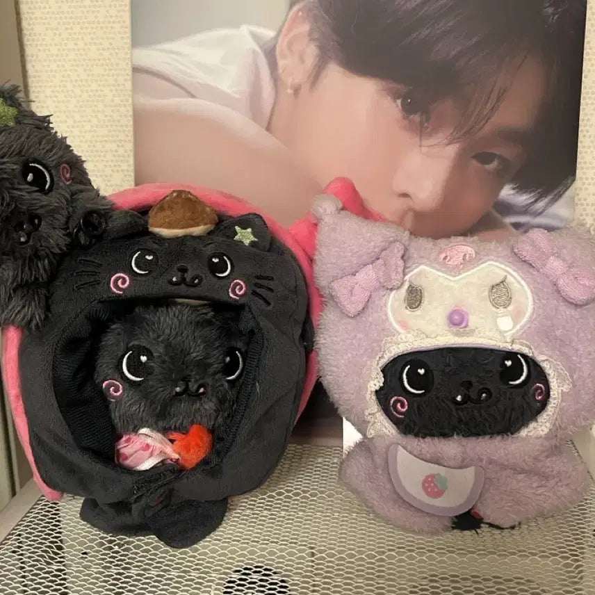 [BUNJANG] Wishdoll Kuri Original Old &amp; New Version Bundle Set / 위시돌 쿠리 오리지널 구버전+신버전 일괄