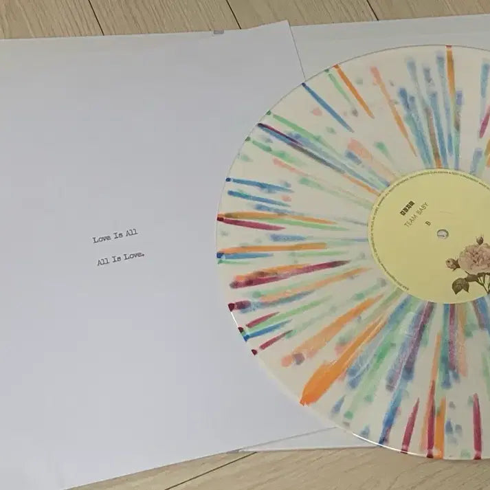 [BUNJANG] The Black Skirts Team Baby LP / 검정치마 Team Baby Lp