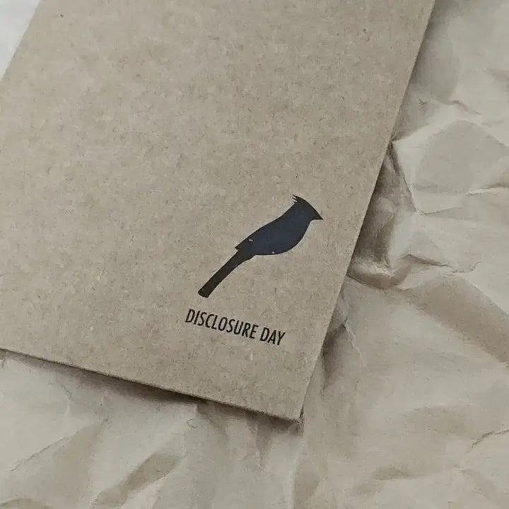 [BUNJANG] Disclosure Day TTT / 디스클로저 데이 TTT