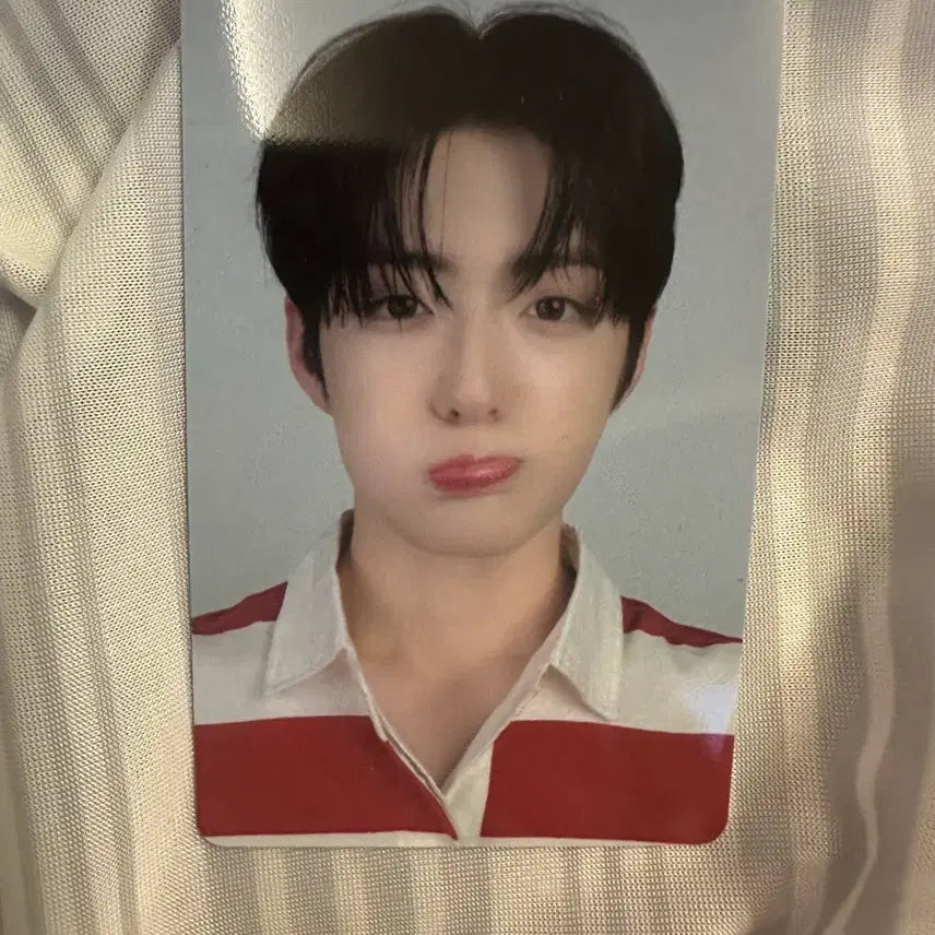 [BUNJANG] Alfadrive One Sanghyun Photocard / 틈새라면 포토카드 알파드라이브원 상현 포카