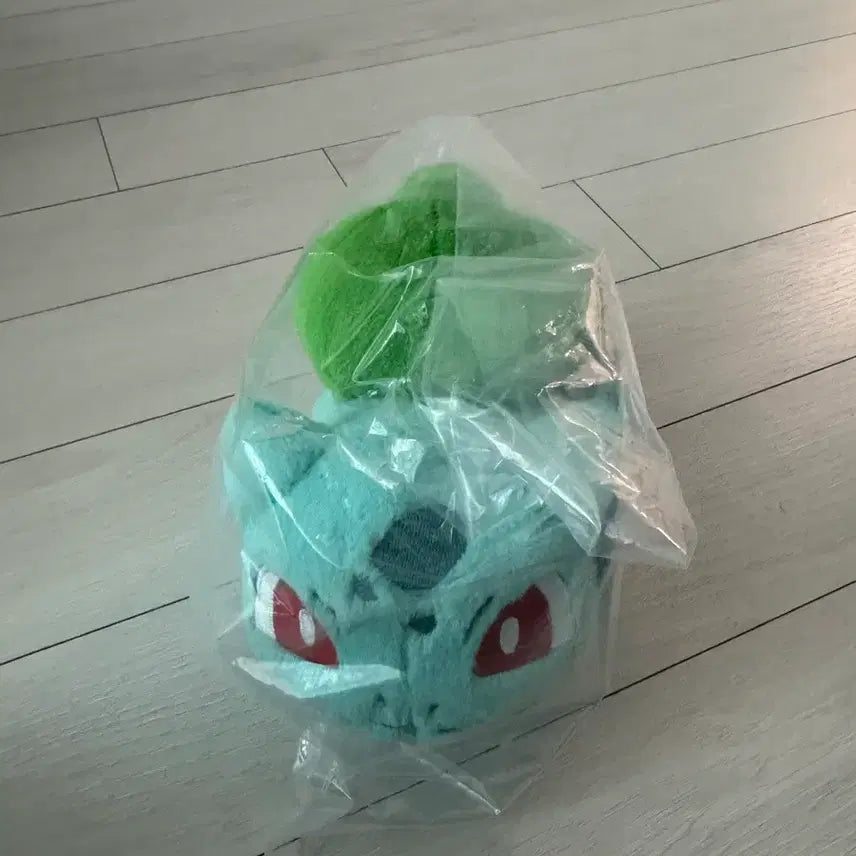 [BUNJANG] Pokemon 30th Anniversary Ichiban Kuji C Prize Bulbasaur Plush / 포켓몬스터 30주년 제일복권 이치방쿠지 C상 이상해씨
