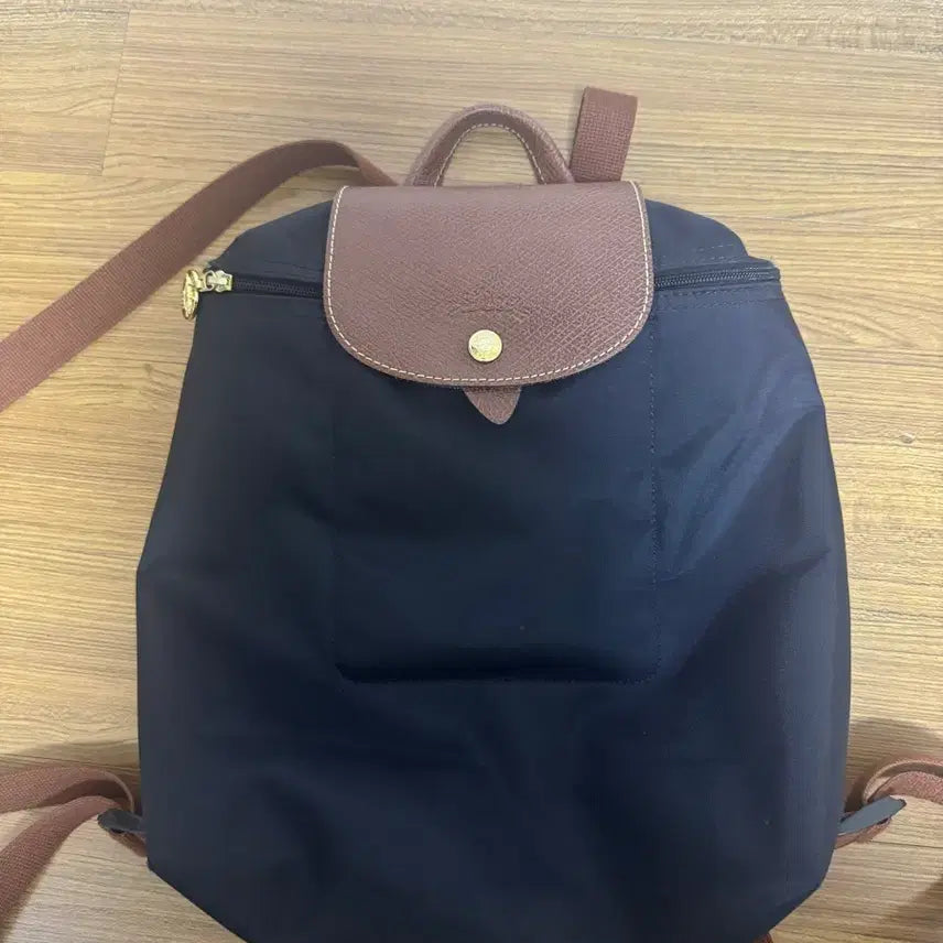 [BUNJANG] Longchamp Backpack / 롱샴백팩