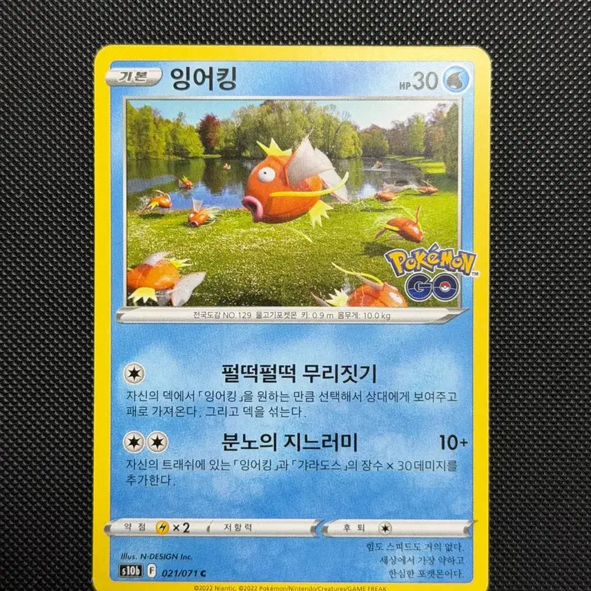 [BUNJANG] Pokemon Go Magikarp &amp; Slowpoke 2-Card Bundle / 포켓몬카드 포켓몬고 잉어킹 야돈 2장 일괄