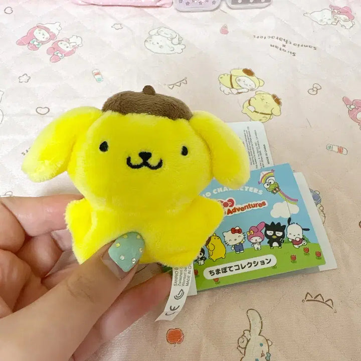 [BUNJANG] Pompompurin Super Cute Adventure Plush / 폼폼푸린 슈퍼큐트 어드벤처 인형