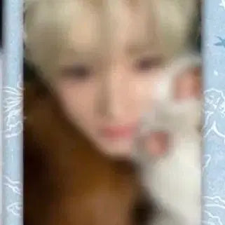 [BUNJANG] Sakura Melon Animal Pajamas Photocard / 사쿠야 멜론 포카 동물잠옷