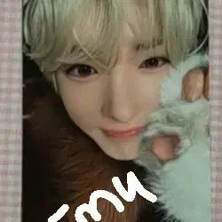 [BUNJANG] Sakura Melon Animal Pajamas Photocard / 사쿠야 멜론 포카 동물잠옷