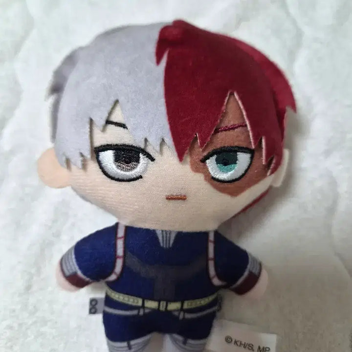 [BUNJANG] Todoroki Gacha Plush / 토도로키 가챠 누이