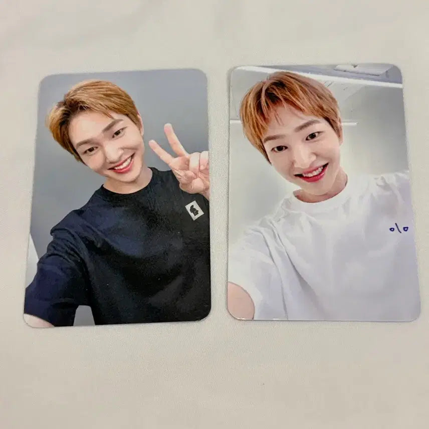 [BUNJANG] SHINee Onew Percent Pop-up T-shirt Photocard Bundle Set (2 types) / 샤이니 온유 퍼센트팝업 티셔츠포카 2종 일괄
