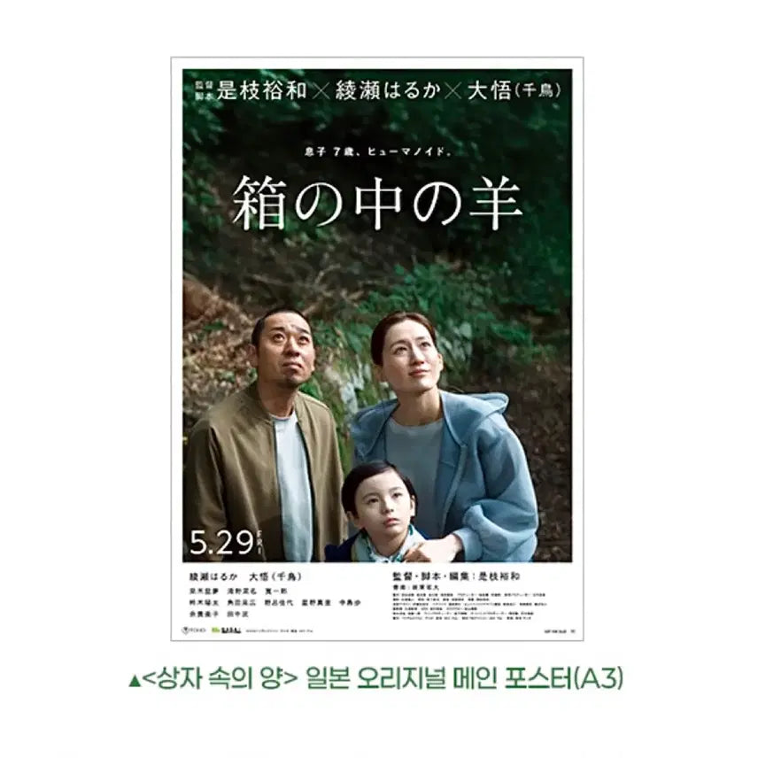 [BUNJANG] Box of Secrets Japanese Original Main Poster / [영화 굿즈] 상자속의양 일본 오리지널 메인 포스터