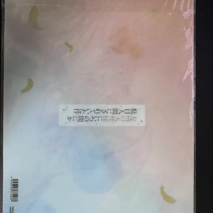 [BUNJANG] Unsealed Next Door Angel A4 Clear File / 미개봉 옆집천사 a4 클리어파일