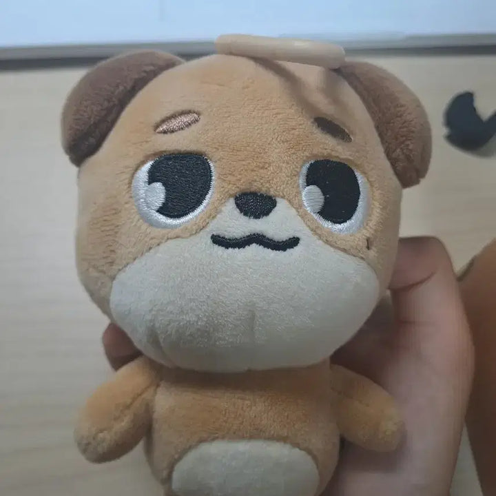 [BUNJANG] DAY6 Dowoon Denimals &