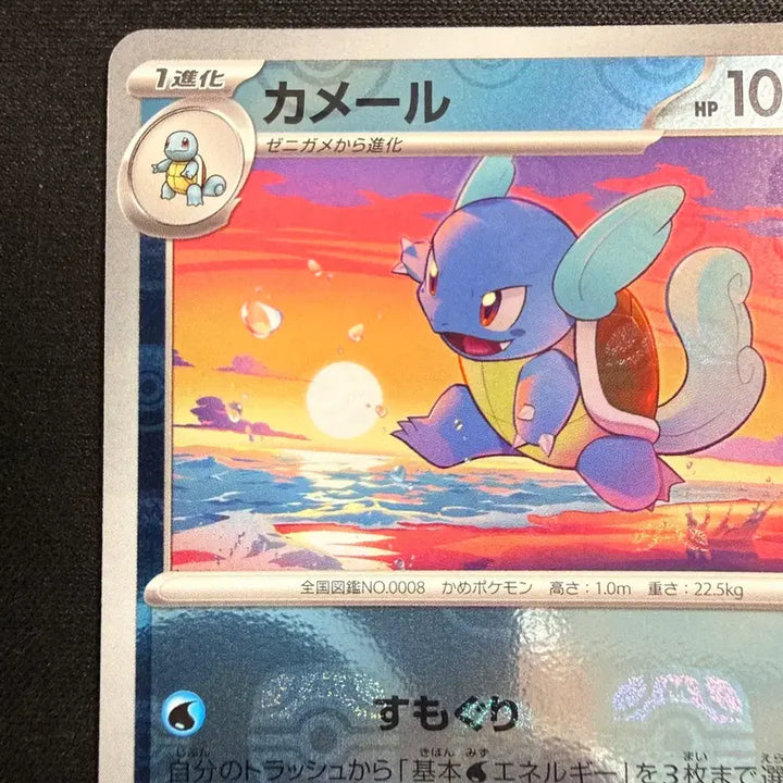 [BUNJANG] 151 Master Ball Wartortle Mint Condition / [등급용/최상급] 151 마스터볼 미러 어니부기 (Wartortle)