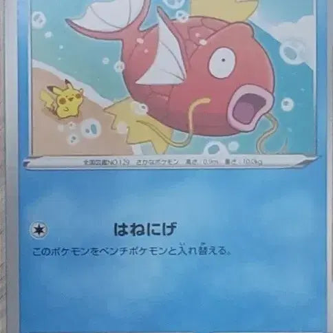 [BUNJANG] Pokemon Magikarp Kanahei Japanese Card / 포켓몬 잉어킹 카나헤이 일판 카드 판매