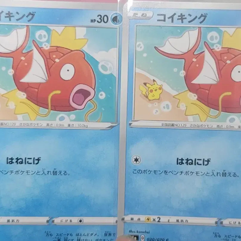 [BUNJANG] Pokemon Magikarp Kanahei Japanese Card / 포켓몬 잉어킹 카나헤이 일판 카드 판매