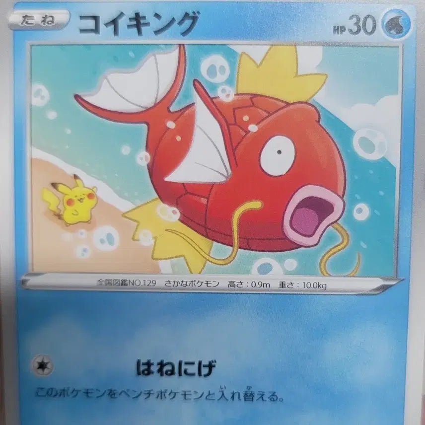 [BUNJANG] Pokemon Magikarp Kanahei Japanese Card / 포켓몬 잉어킹 카나헤이 일판 카드 판매