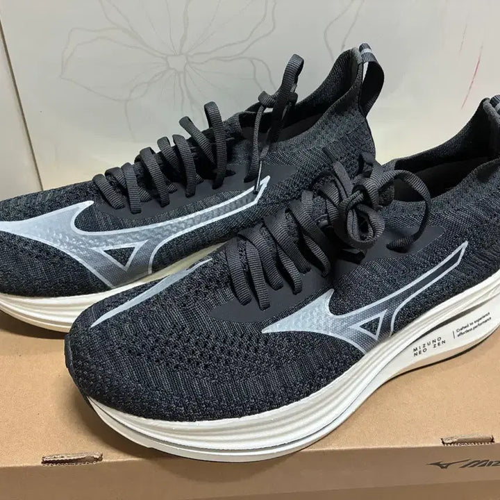 [BUNJANG] Mizuno Neo Garden 1 Running Shoes (265mm) / 미즈노 네오젠1 265