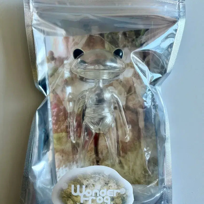 [BUNJANG] Wanda Frog Pigmarion Hari Clear Version / 투명 완다 프로그 피그마리온하리